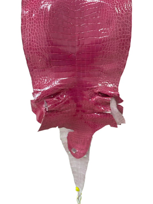 41 cm Grade 3/4 Fuchsia Classic Wild American Alligator Leather - Tag: LA13-0030363