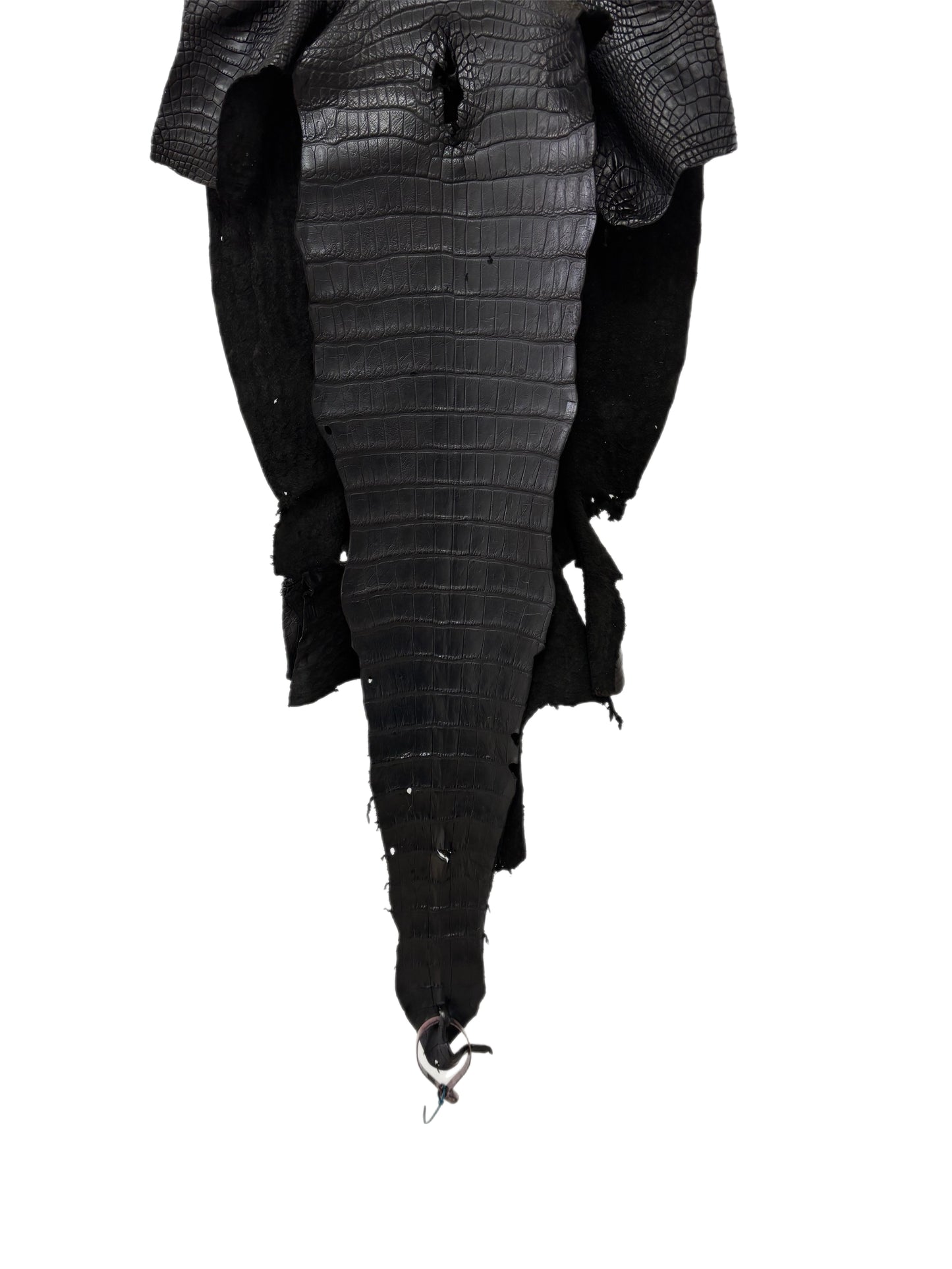 36 cm Grade 4/5 Black Matte Wild American Alligator Leather - Tag: LA18-0037622