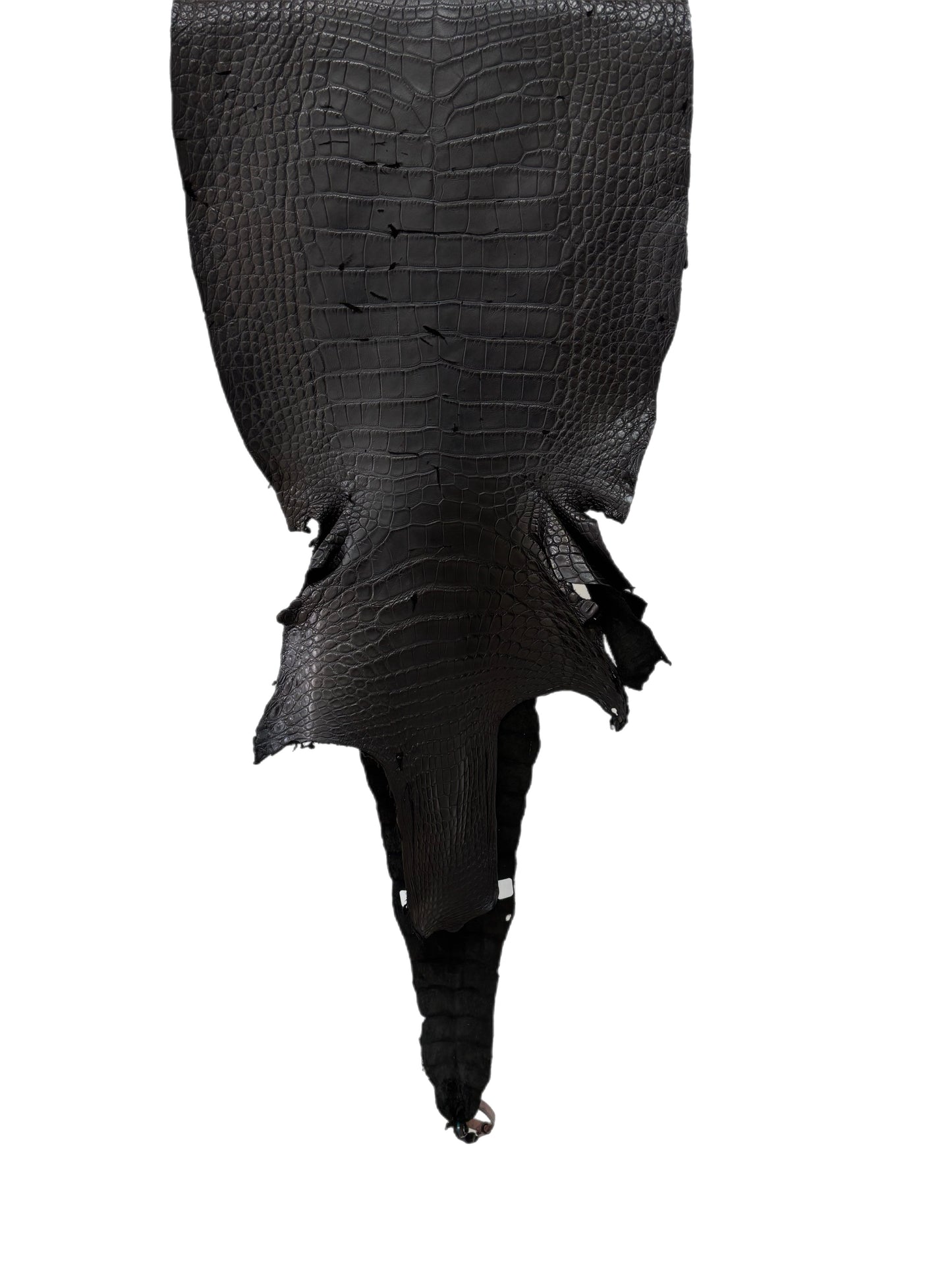 35 cm Grade 4/5 Black Matte Wild American Alligator Leather - Tag: LA18-0031178