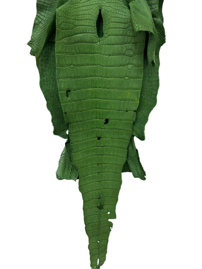 39 cm Grade 3/4 Jungle Green Matte Wild American Alligator Leather - Tag: LA23-0004425