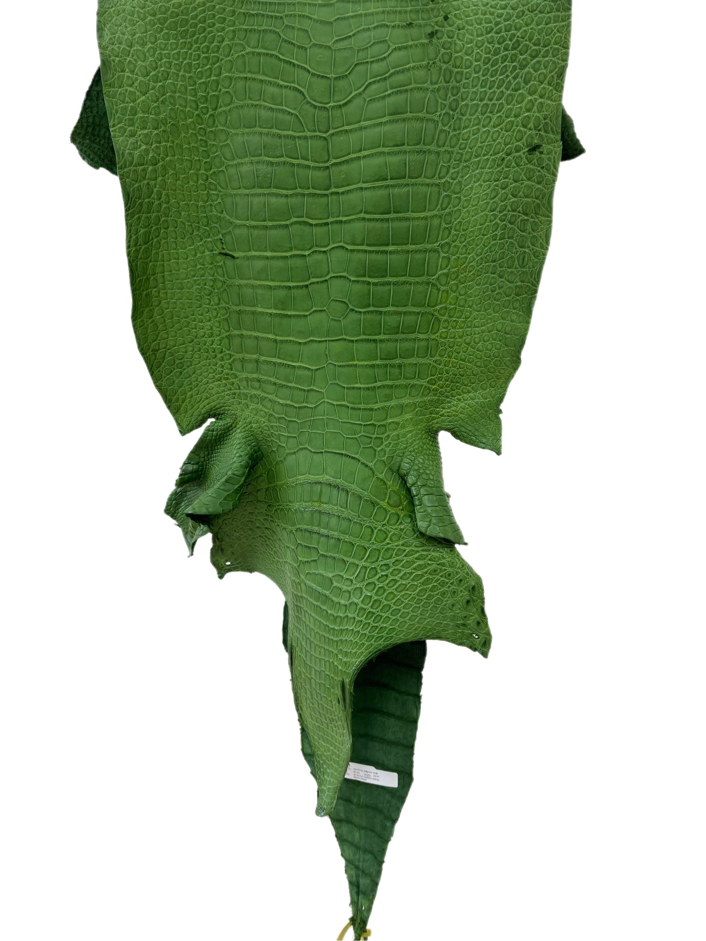 39 cm Grade 3/4 Jungle Green Matte Wild American Alligator Leather - Tag: LA23-0051850
