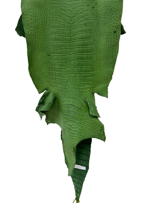 39 cm Grade 3/4 Jungle Green Matte Wild American Alligator Leather - Tag: LA23-0051850