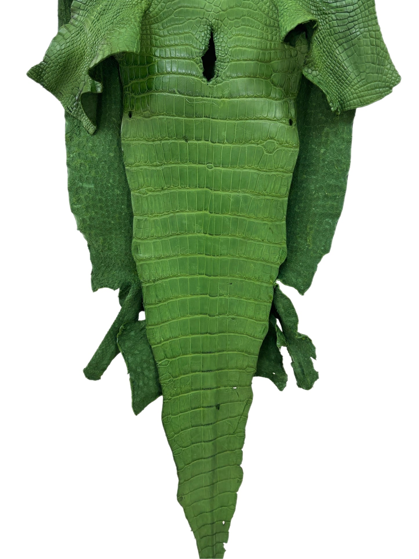 43 cm Grade 4/5 Jungle Green Matte Wild American Alligator Leather - Tag: LA23-0050885
