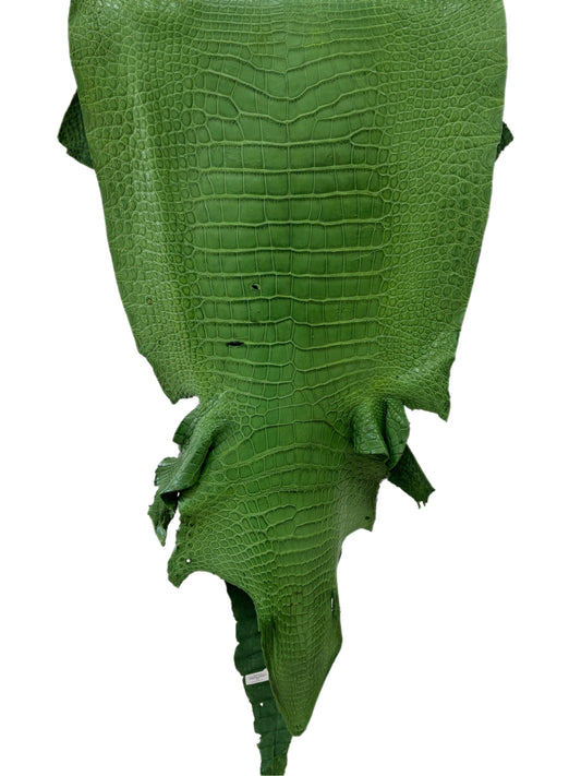 43 cm Grade 4/5 Jungle Green Matte Wild American Alligator Leather - Tag: LA23-0050885