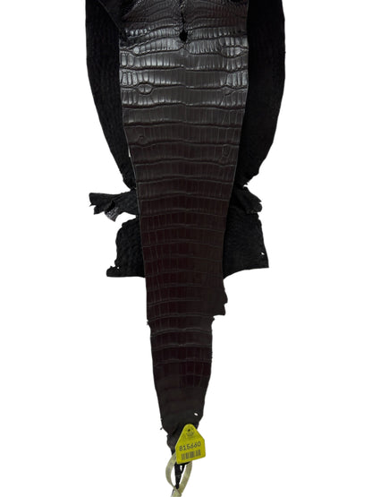 22 cm Grade 1 Black Matte Wild American Alligator Leather - Tag: LA09-0107827