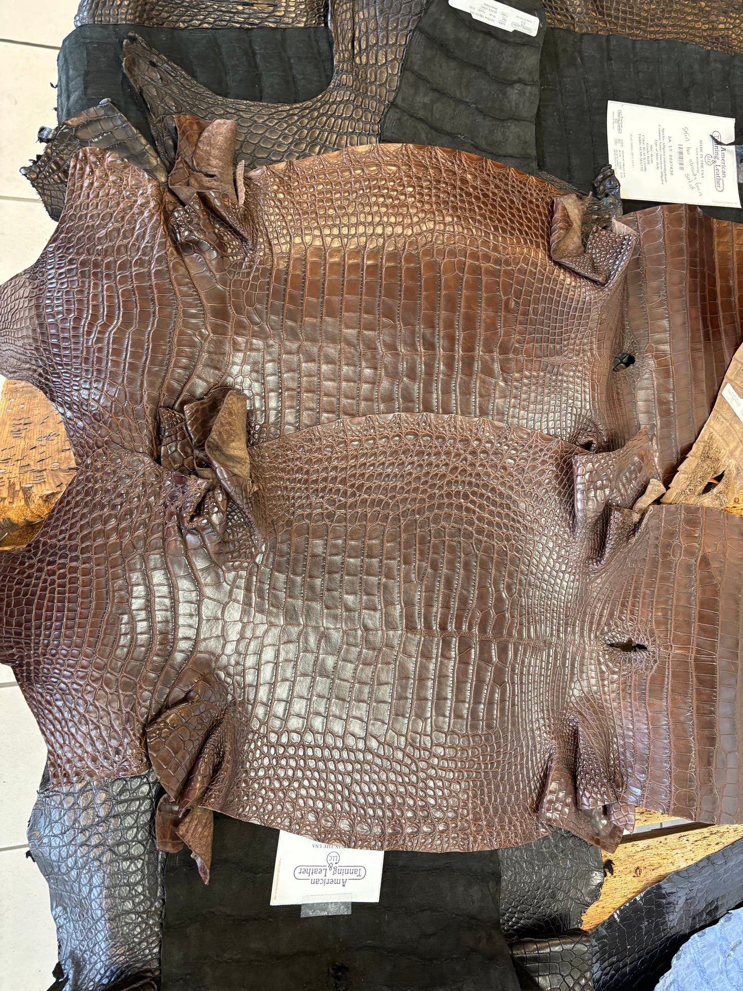 1 pair of 41/42 cm Grade 1/2 Chocolate Matte Farm-Raised American Alligators