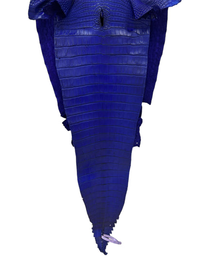 39 cm Grade 2/3 Cobalt Blue Matte Farm-Raised American Alligator Leather - Tag: FL18-0034652