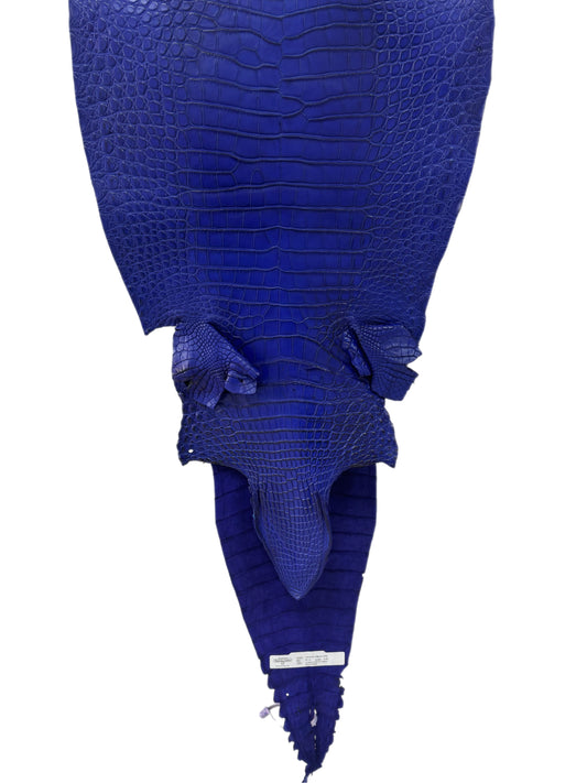39 cm Grade 2/3 Cobalt Blue Matte Farm-Raised American Alligator Leather - Tag: FL18-0034652