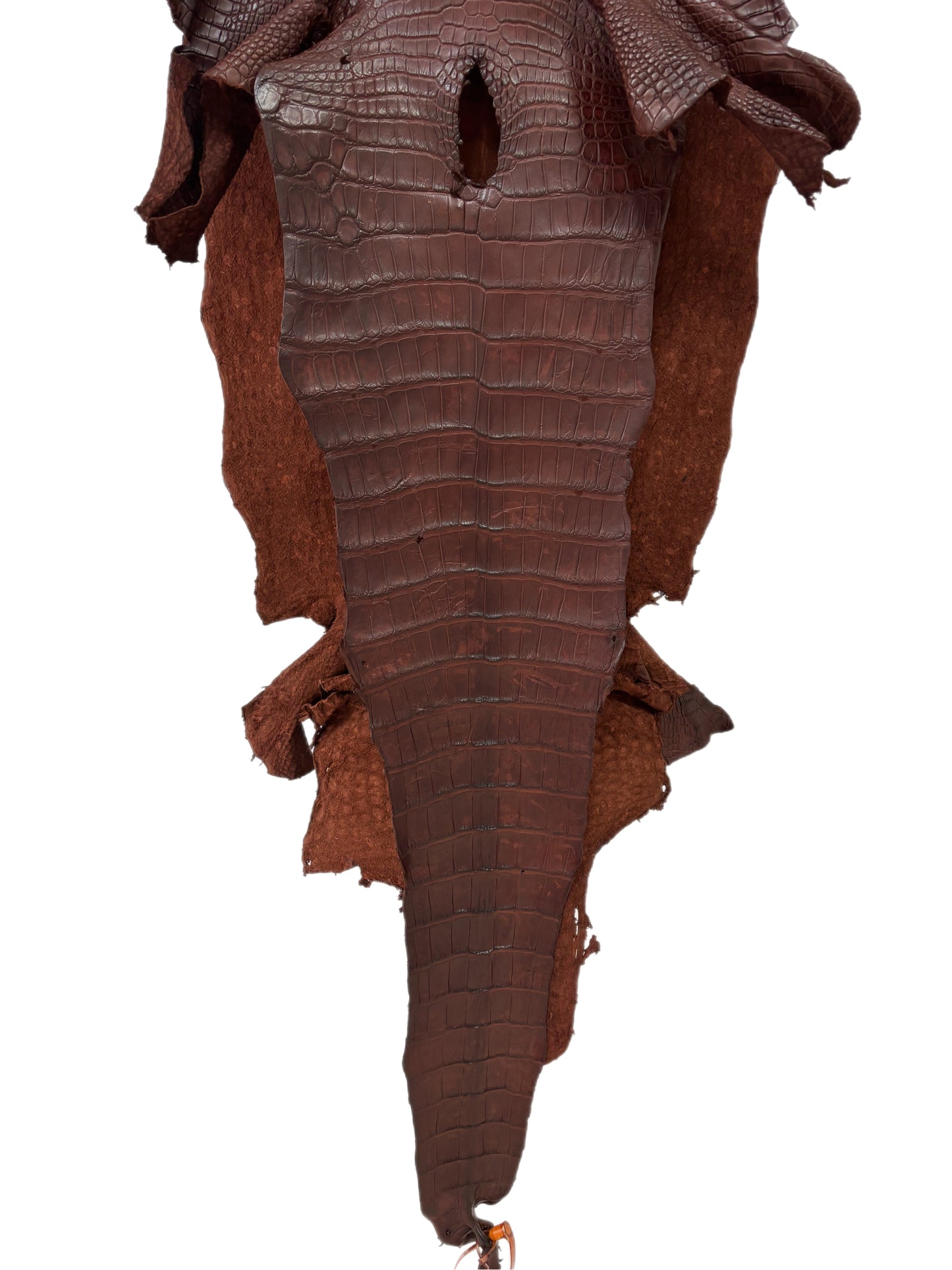 38 cm Grade 3/4 Italian Gold Matte American Alligator Leather - Tag: LA23-0017166