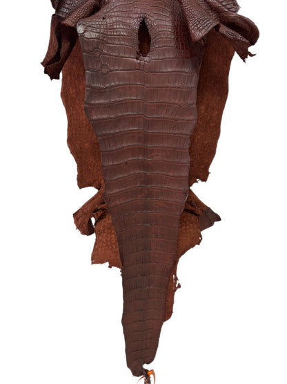 38 cm Grade 3/4 Italian Gold Matte American Alligator Leather - Tag: LA23-0017166