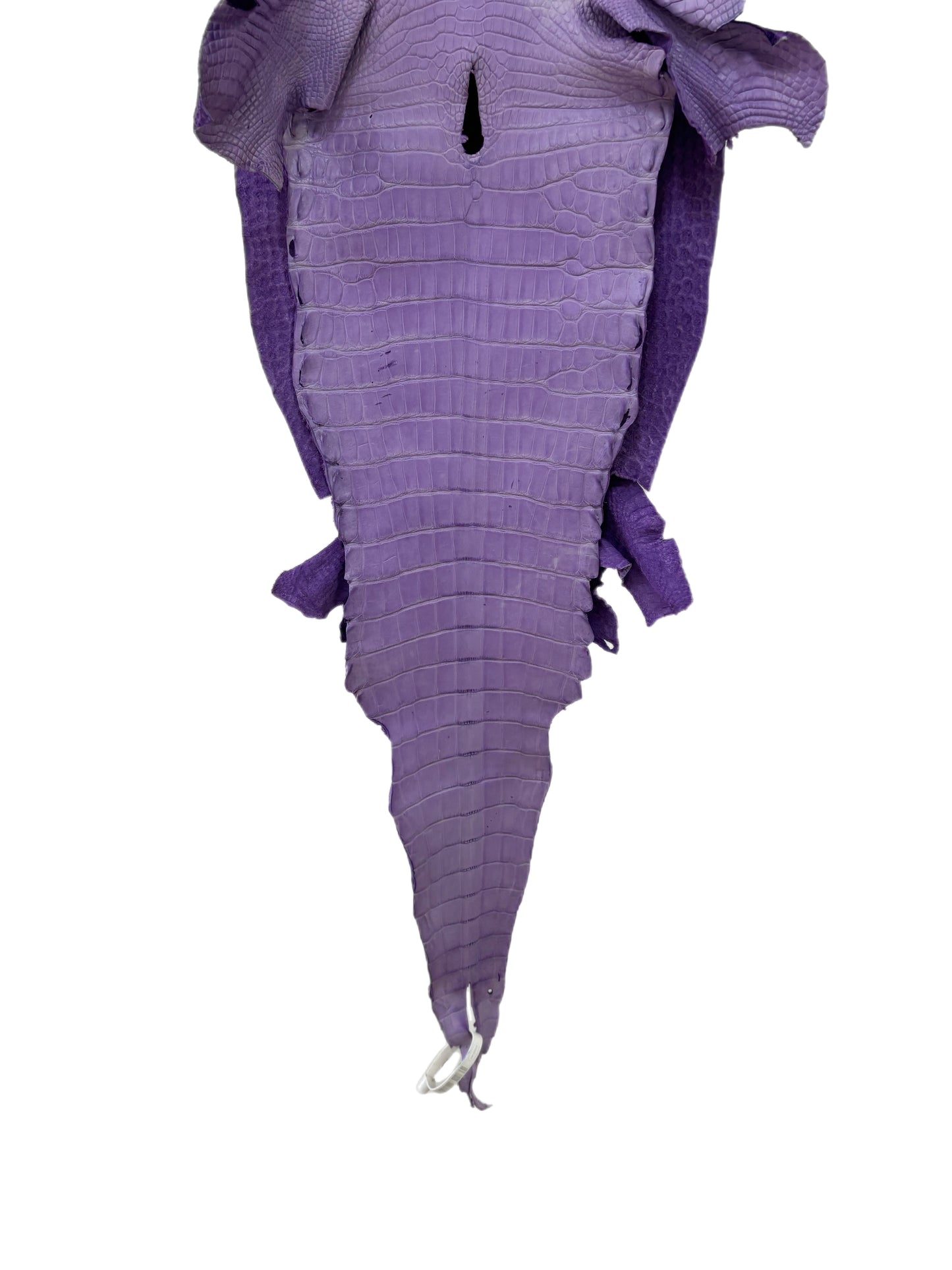 31 cm Grade 2/3 Lavender Jade Desert Farm American Alligator Leather - Tag: LA17-0274760