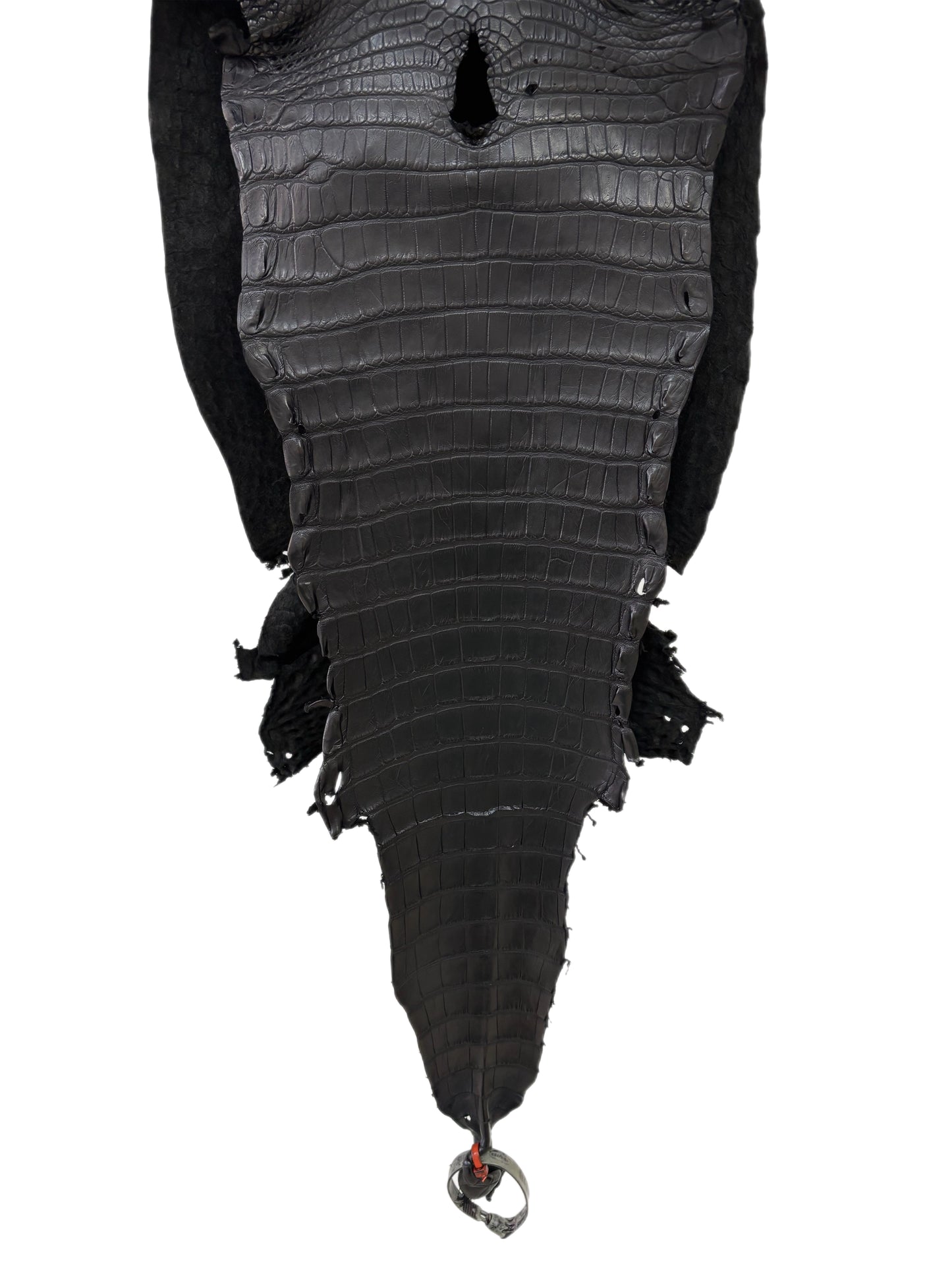 30 cm Grade 2/3 Black Matte Farm-Raised American Alligator Leather - Tag: LA23-0531635