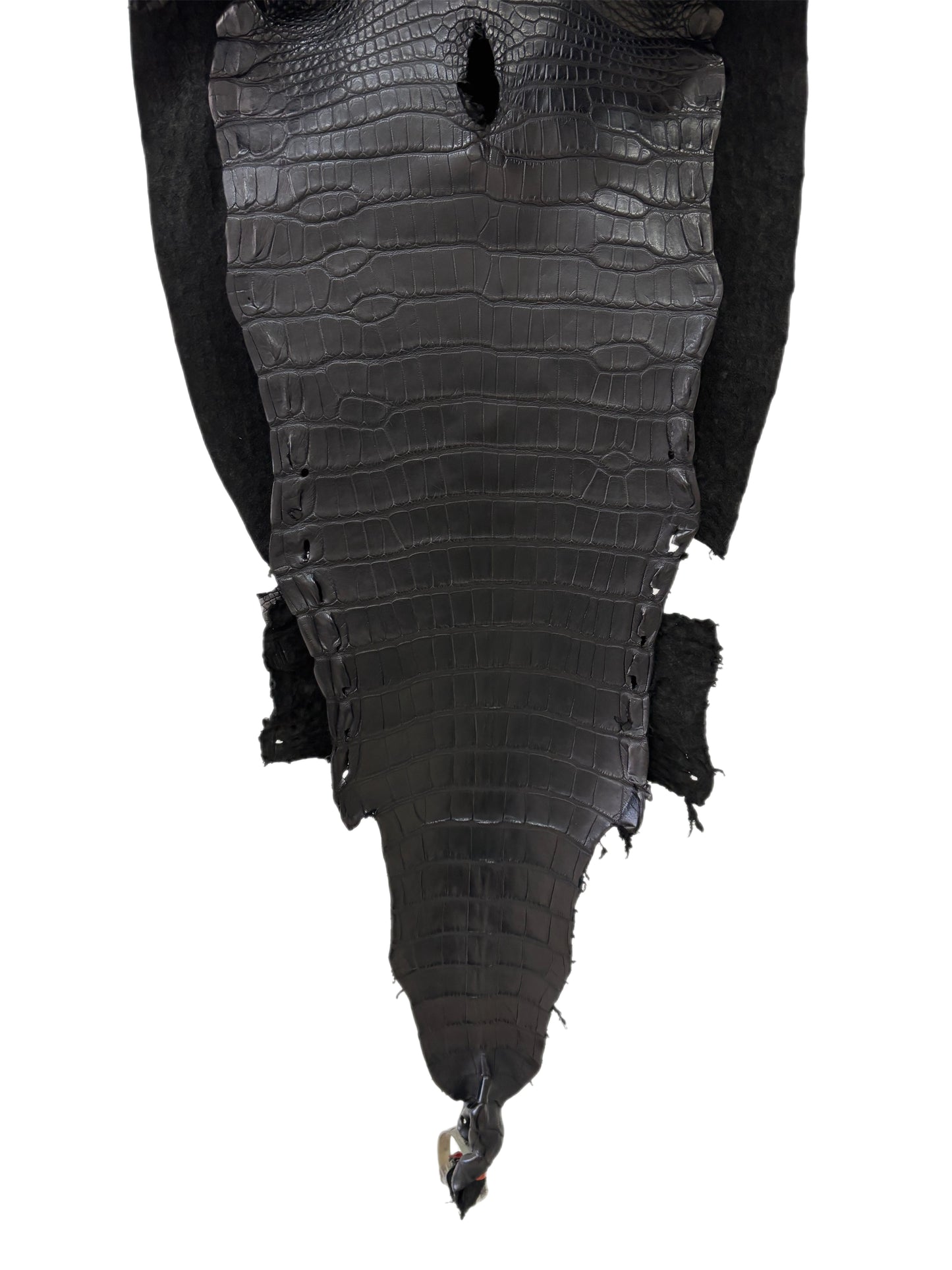 35 cm Grade 2/3 Black Matte Farm-Raised American Alligator Leather - Tag: LA23-0531626