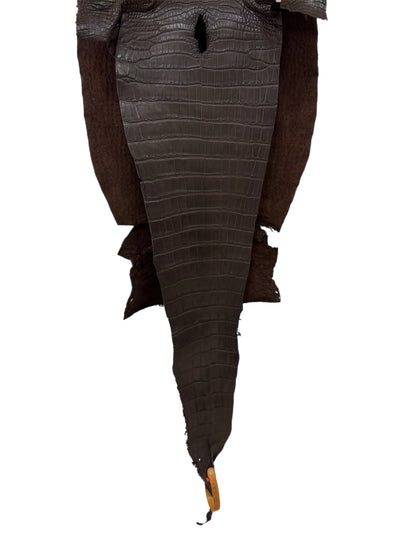 30 cm Grade 1/2 Chocolate Matte Farm-Raised American Alligator Leather - Tag: LA23-0531073