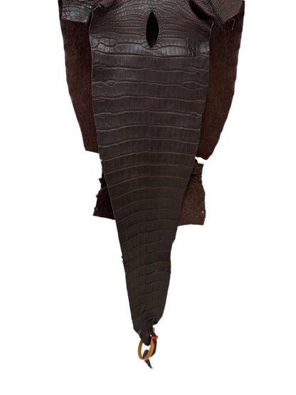 32 cm Grade 1/2 Chocolate Matte Farm-Raised American Alligator Leather - Tag: LA23-0531892