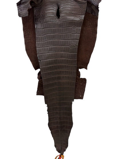 31 cm Grade 2/3 Chocolate Matte Farm-Raised American Alligator Leather - Tag: LA23-0531349