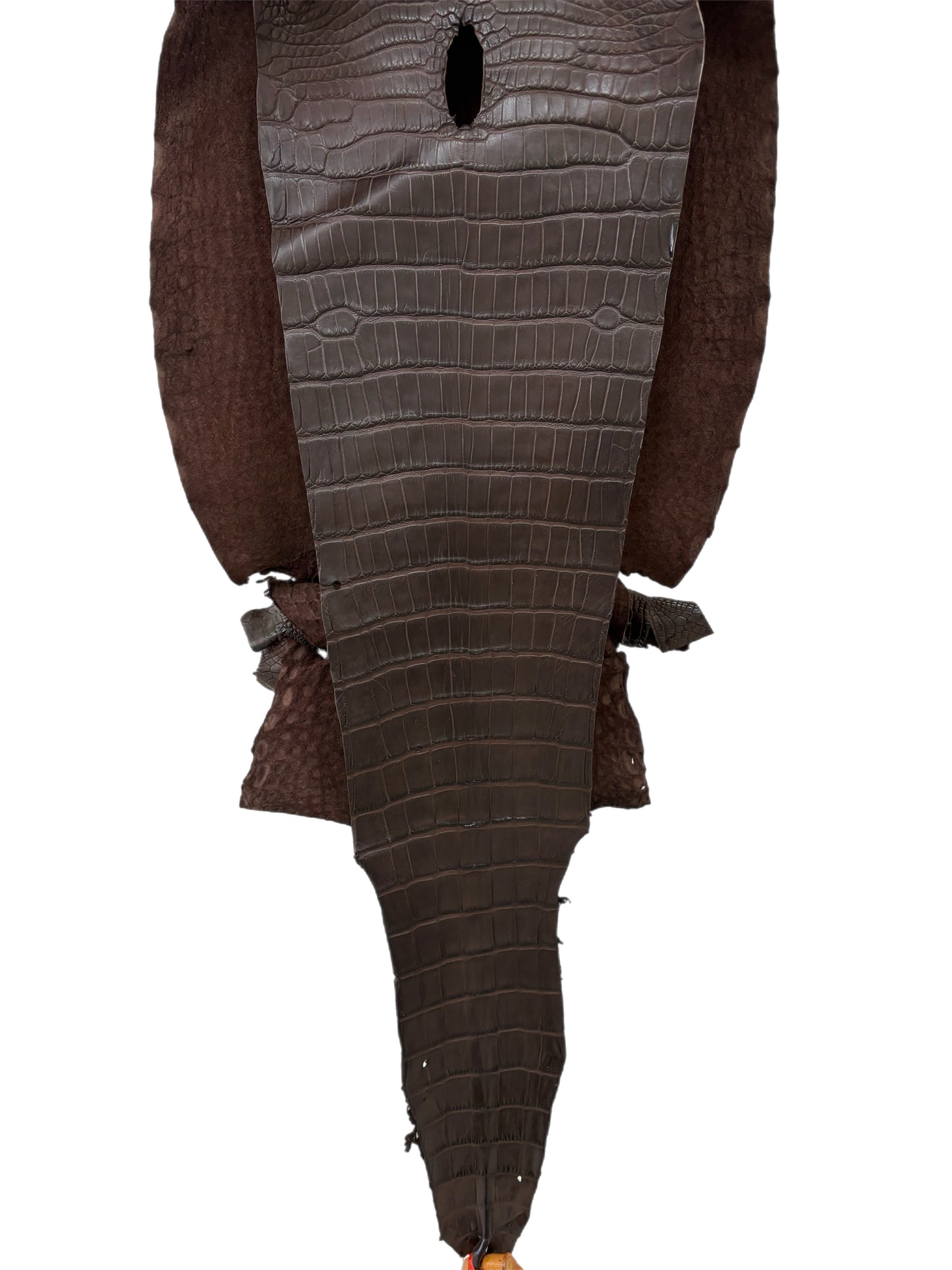 32 cm Grade 1/2 Chocolate Matte Farm-Raised American Alligator Leather - Tag: LA23-0531407