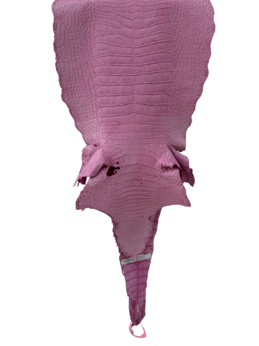 37 cm Grade 2/3 Cotton Candy Matte Wild American Alligator Leather - Tag: MS24-0000736