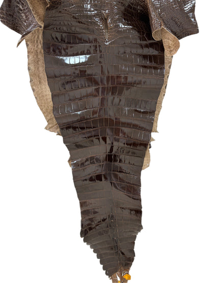 52 cm Grade 1/2 Sport Rust Brown Glazed Farm-Raised American Alligator Leather - Tag: LA13-0059967