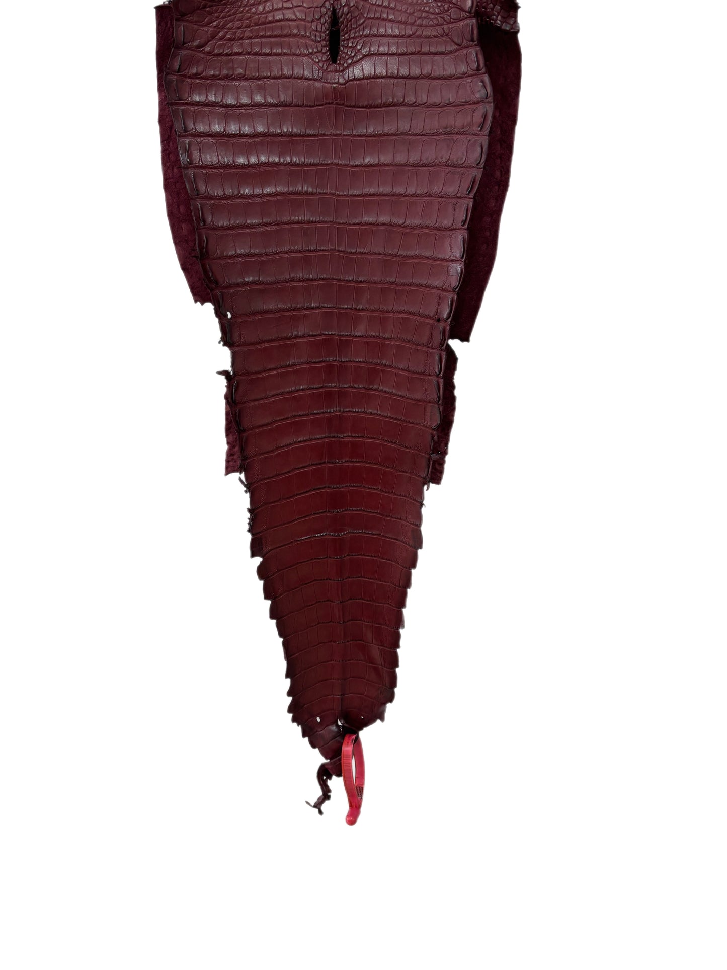27 cm Grade 1/2 Bordeaux Matte Farm-Raised American Alligator Leather - Tag: FL21-0024880