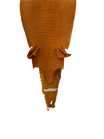 29 cm Grade 1/2 Buttercup Matte Farm-Raised American Alligator Leather - Tag: FL21-0023972