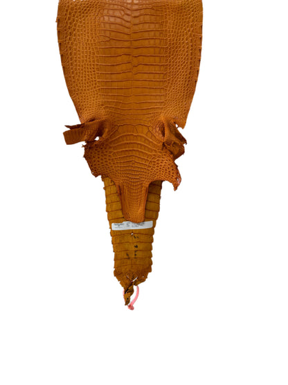 27 cm Grade 2/3 Buttercup Matte Farm-Raised American Alligator Leather - Tag: FL21-0024027