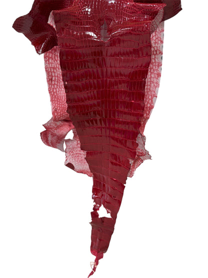 35 cm Grade 2/3 Red Glazed Wild American Alligator Leather - Tag: LA23-0003510