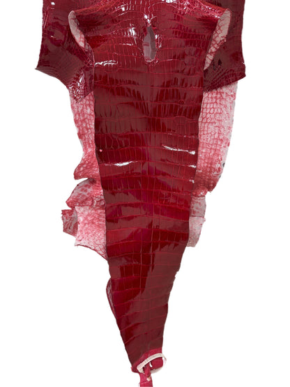 38 cm Grade 2/3 Red Glazed Wild American Alligator Leather - Tag: LA23-0034064