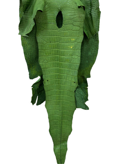 43 cm Grade 3/4 Jungle Green Matte Wild American Alligator Leather - Tag: LA23-0013912