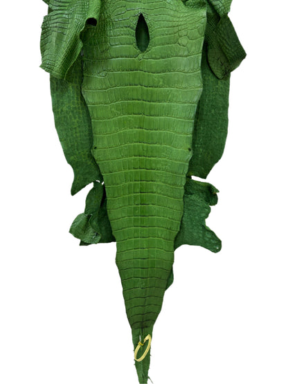 43 cm Grade 3/4 Jungle Green Matte Wild American Alligator Leather - Tag: LA23-0048190
