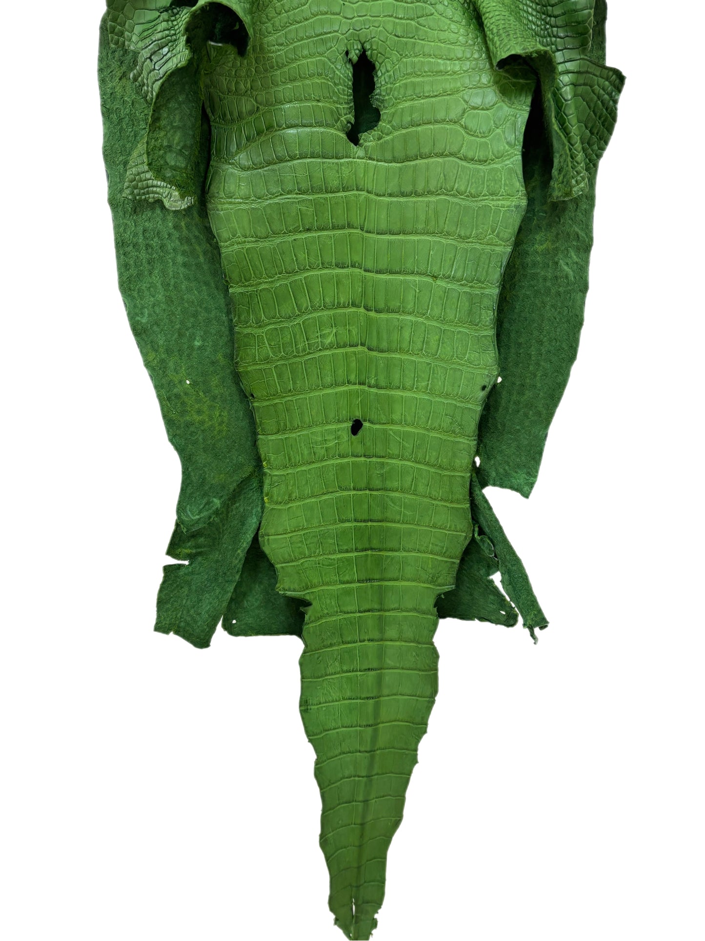 45 cm Grade 4/5 Jungle Green Matte Wild American Alligator Leather - Tag: LA23-0011019