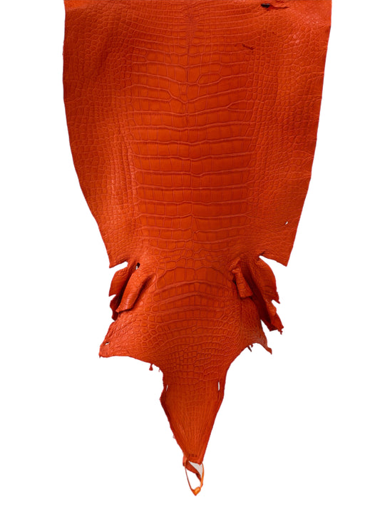 39 cm Grade 3/4 Orange Matte Wild American Alligator Leather - Tag: LA23-0022819