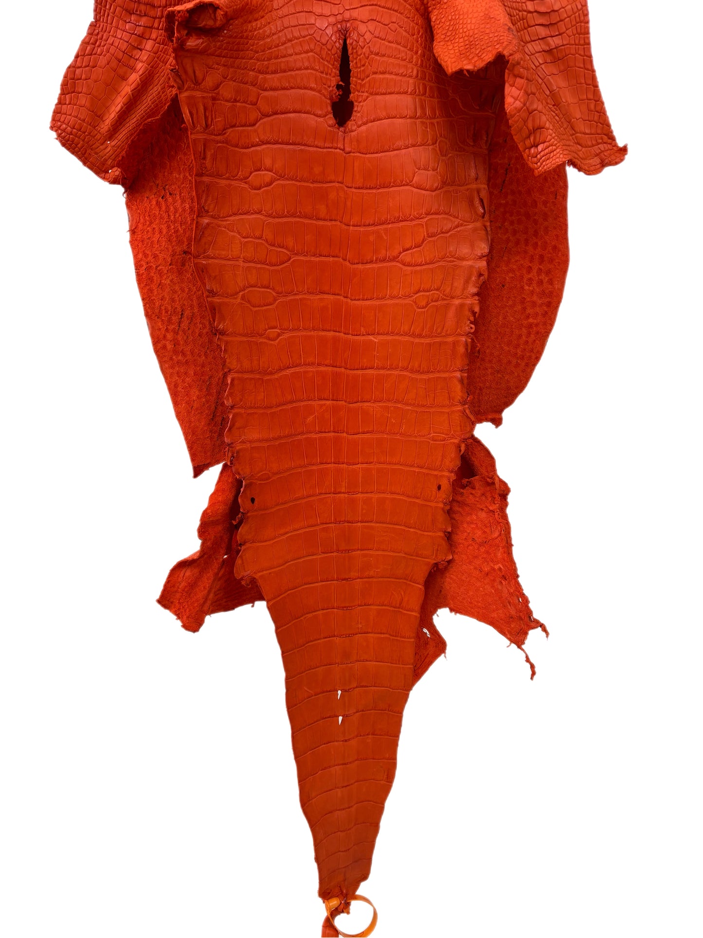 40 cm Grade 3/4 Orange Matte Wild American Alligator Leather - Tag: LA23-0006454