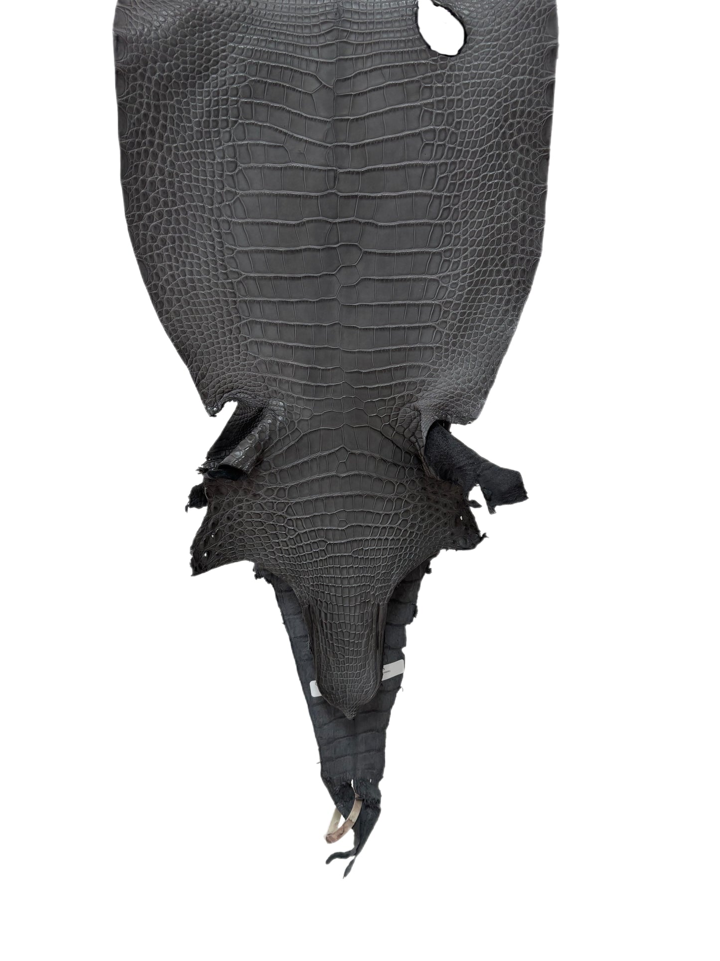 33 cm Grade 2/3 Serpentine Grey Matte Farm-Raised American Alligator Leather - Tag: LA17-0274669