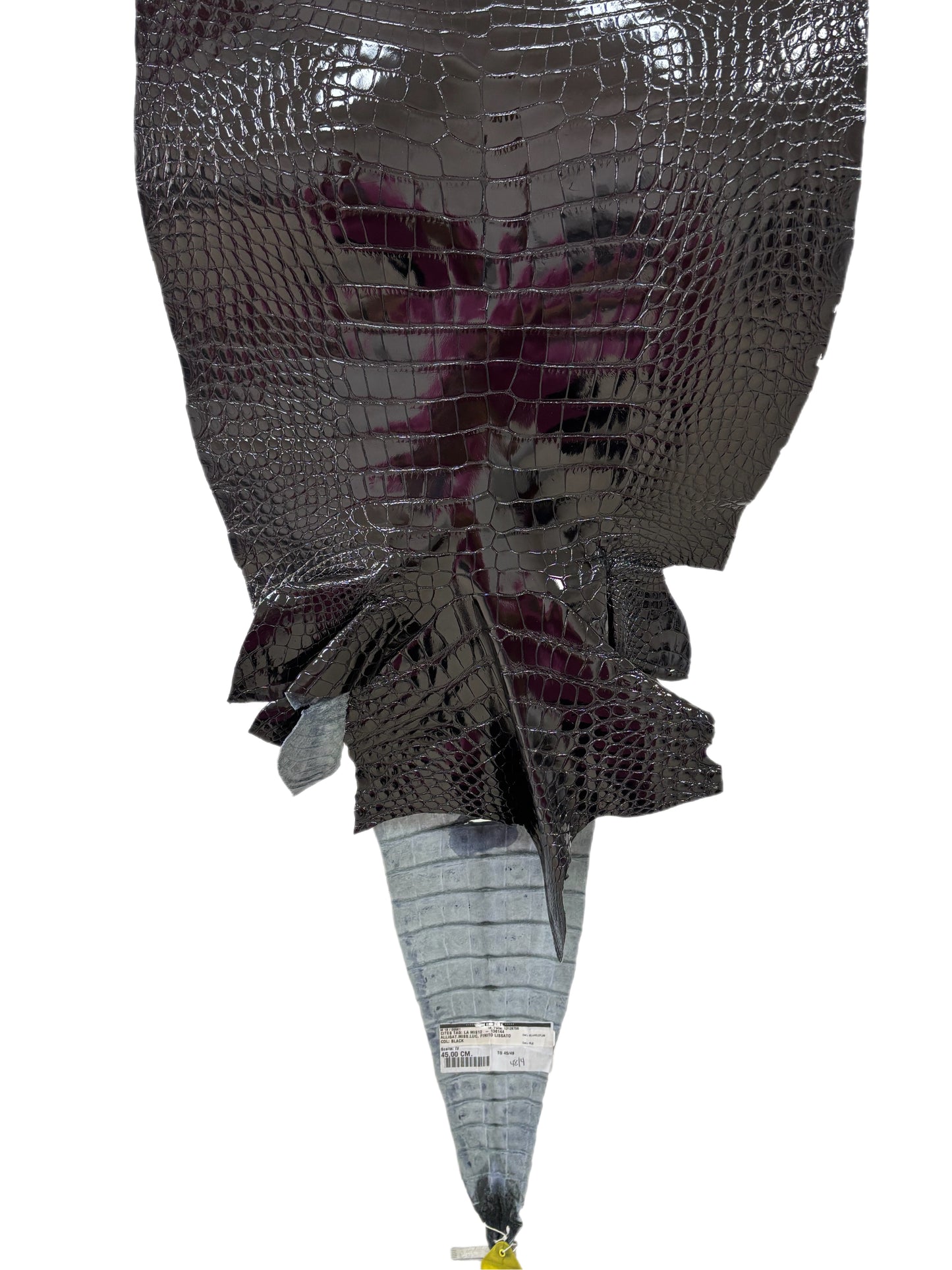 48 cm Grade 3/4 Black Glazed Wild American Alligator Leather - Tag: LA12-0136144