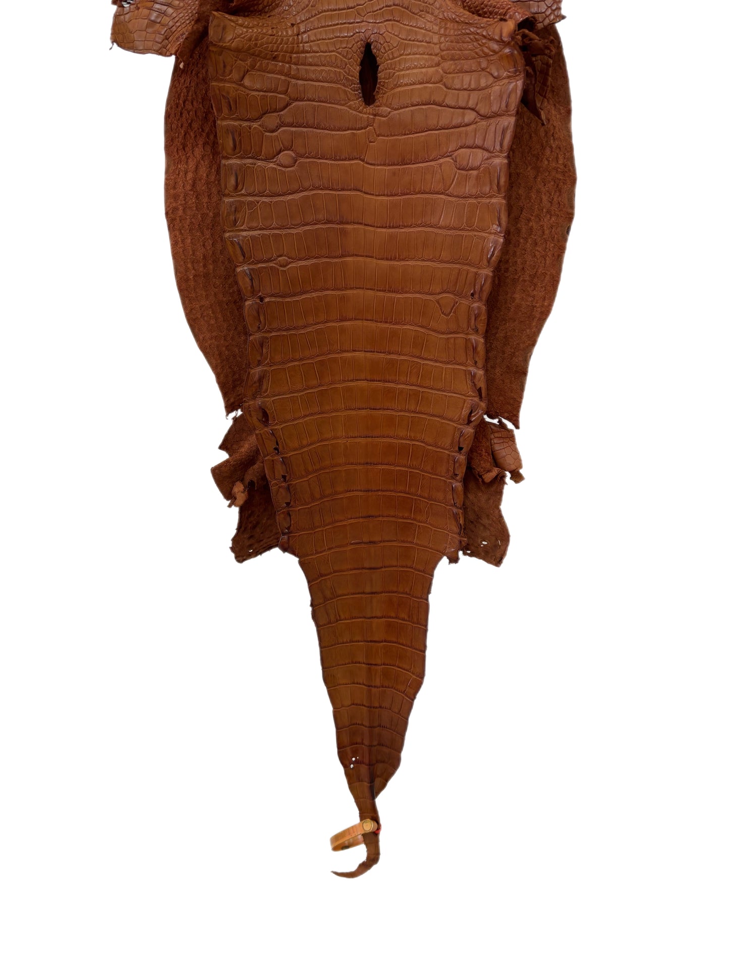 31 cm Grade 2/3 Cognac Matte Farm-Raised American Alligator Leather - Tag: LA23-0531175
