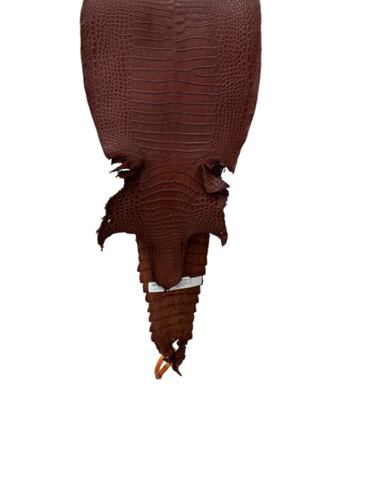 24 cm Grade 3/4 Italian Gold Matte Farm-Raised American Alligator Leather - Tag: FL22-0030284