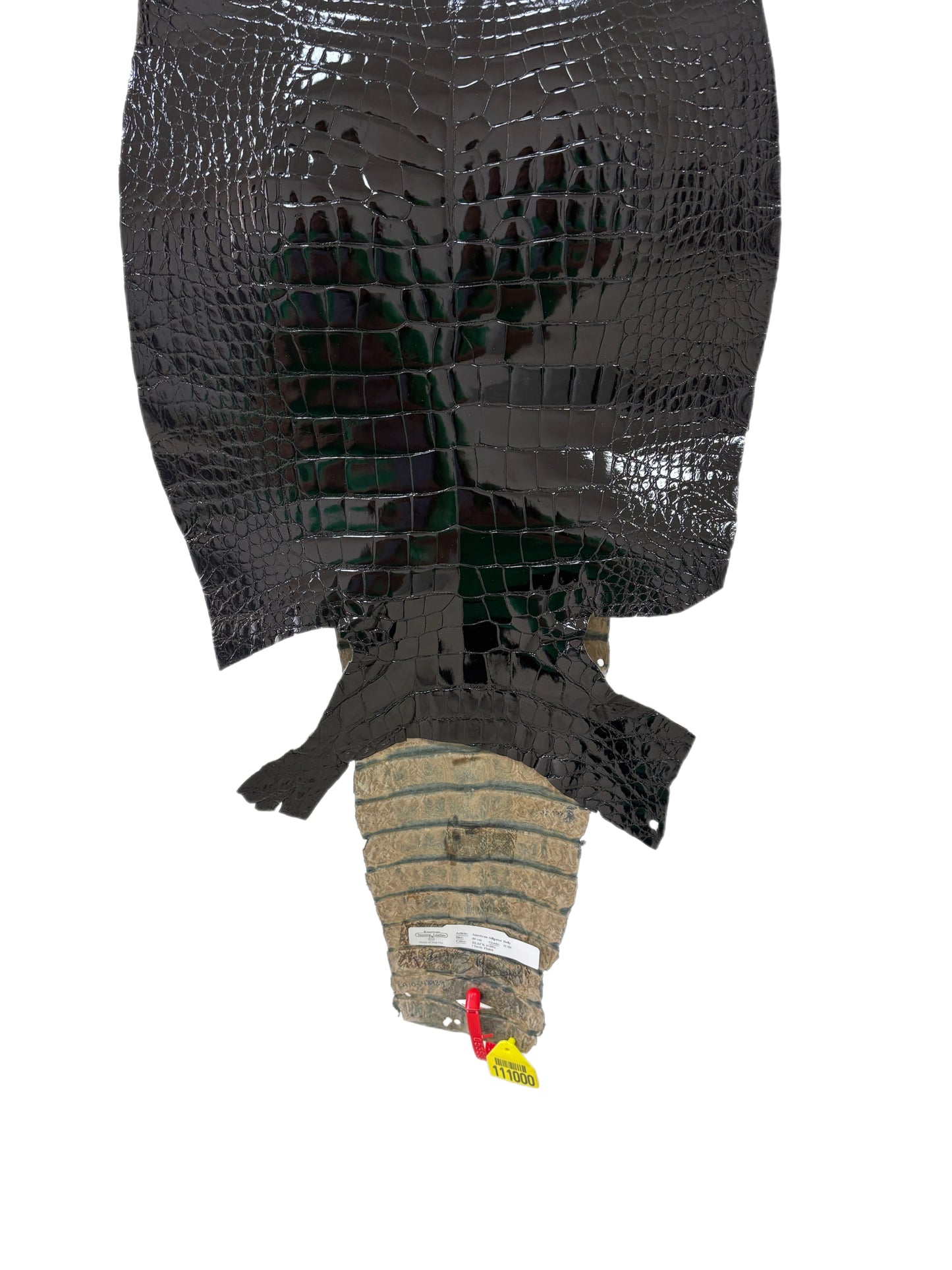 39 cm Grade 2/3 Black Glazed Wild American Alligator Leather - Tag: ITCC-0539882