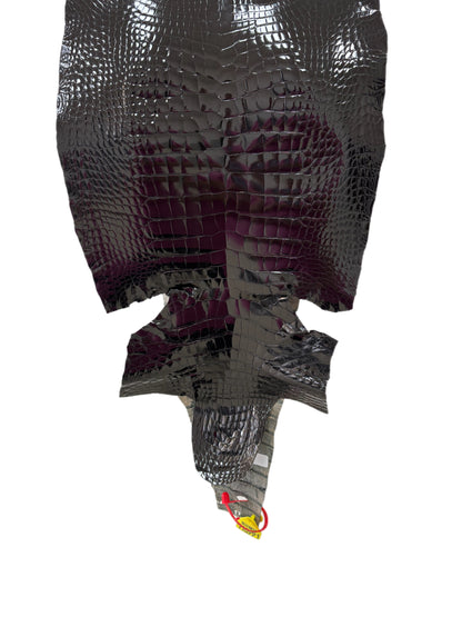 36 cm Grade 4/5 Black Glazed Wild American Alligator Leather - Tag: ITCC-0539902