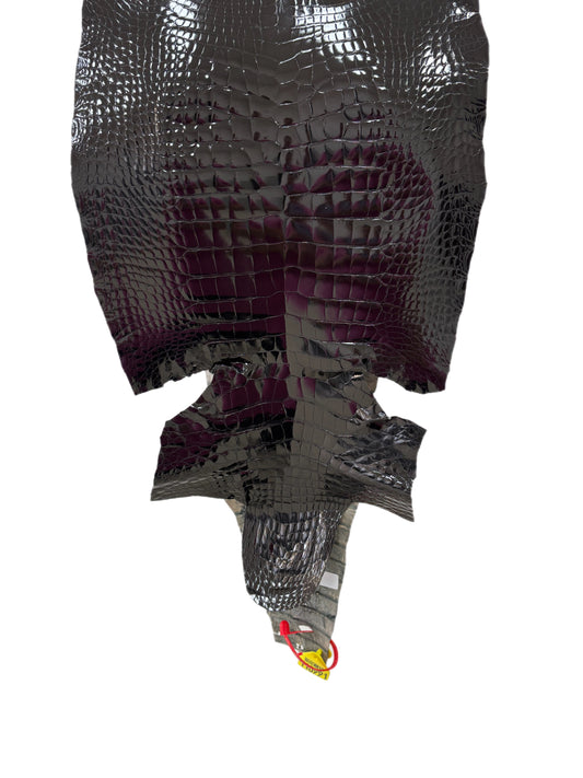 36 cm Grade 4/5 Black Glazed Wild American Alligator Leather - Tag: ITCC-0539902
