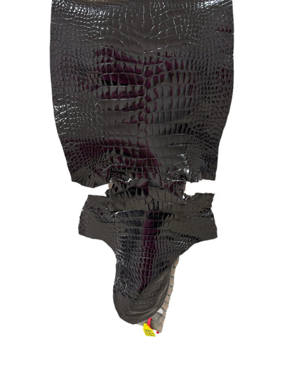 41 cm Grade 1/2 Black Glazed Wild American Alligator Leather - Tag: ITCC-0539897