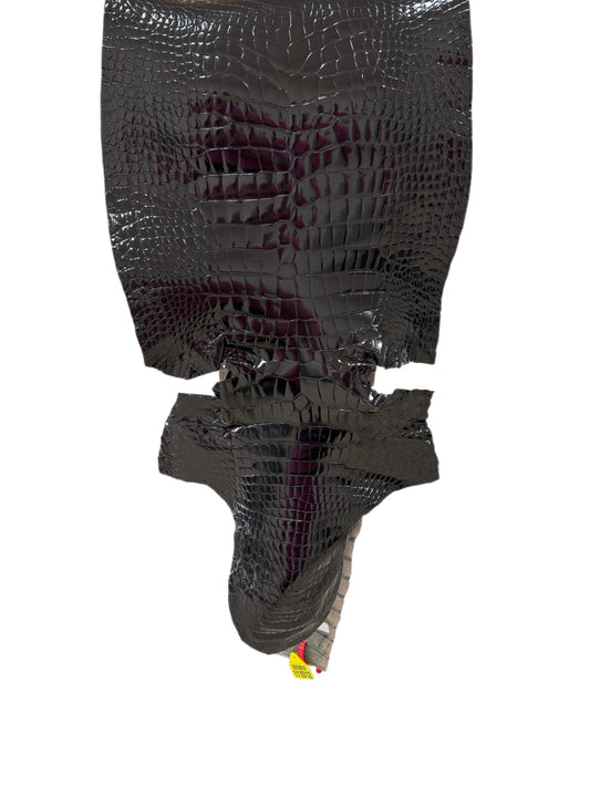 41 cm Grade 1/2 Black Glazed Wild American Alligator Leather - Tag: ITCC-0539897