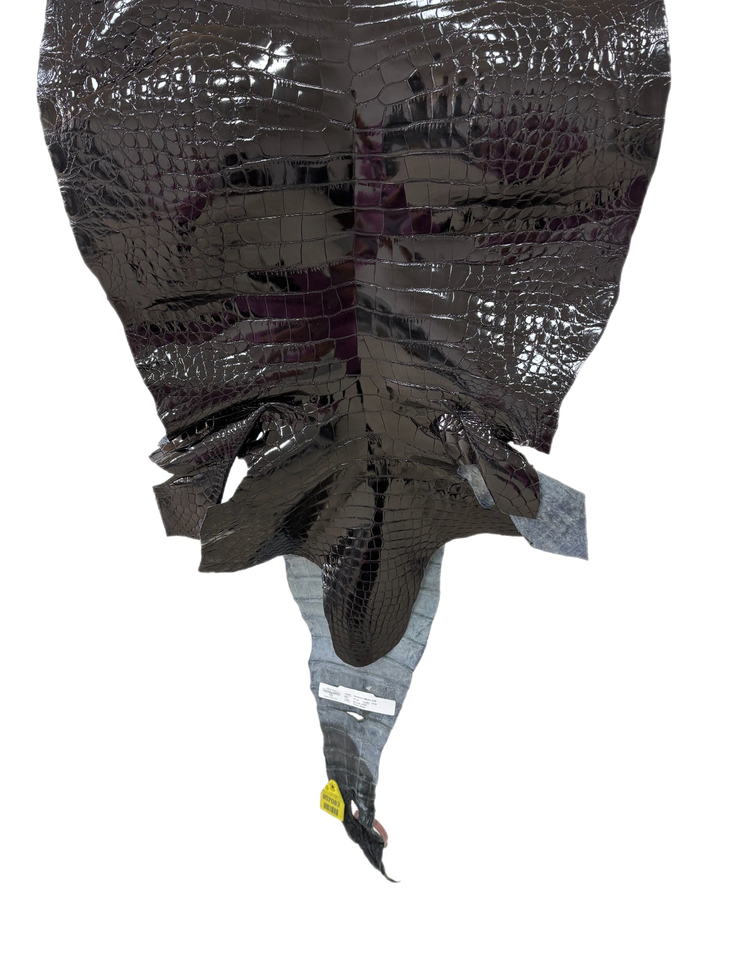 51 cm Grade 2/3 Black Classic Farm-Raised American Alligator Leather - Tag: FL14-0003585