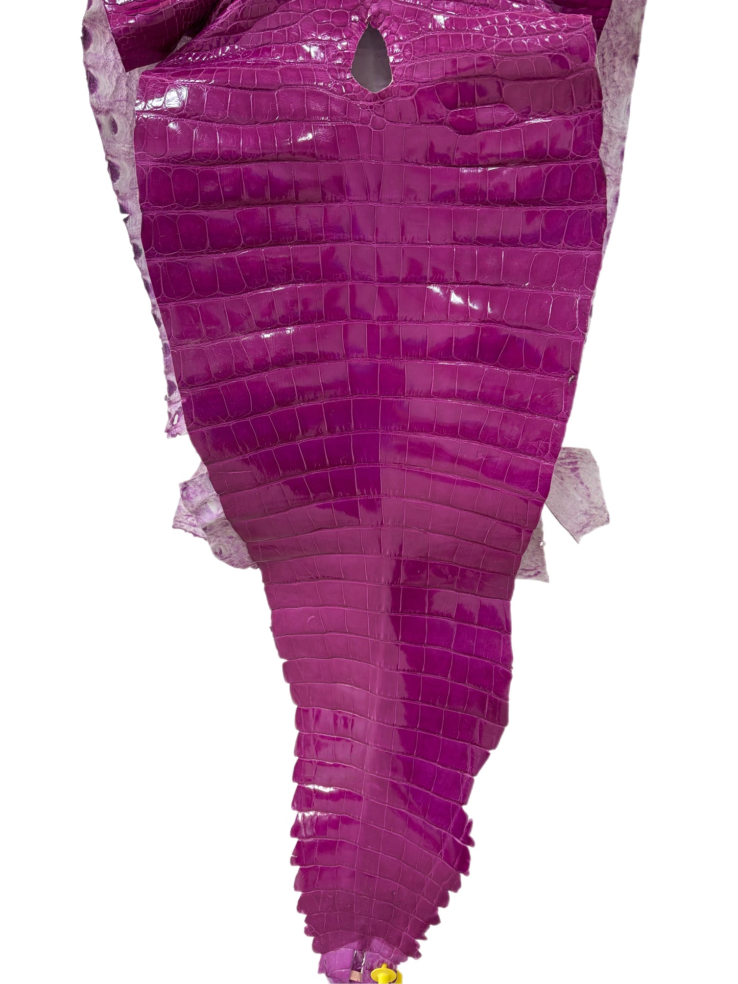 47 cm Grade 1/2 Magenta Glazed Farm-Raised American Alligator Leather - Tag: GA13-0024554
