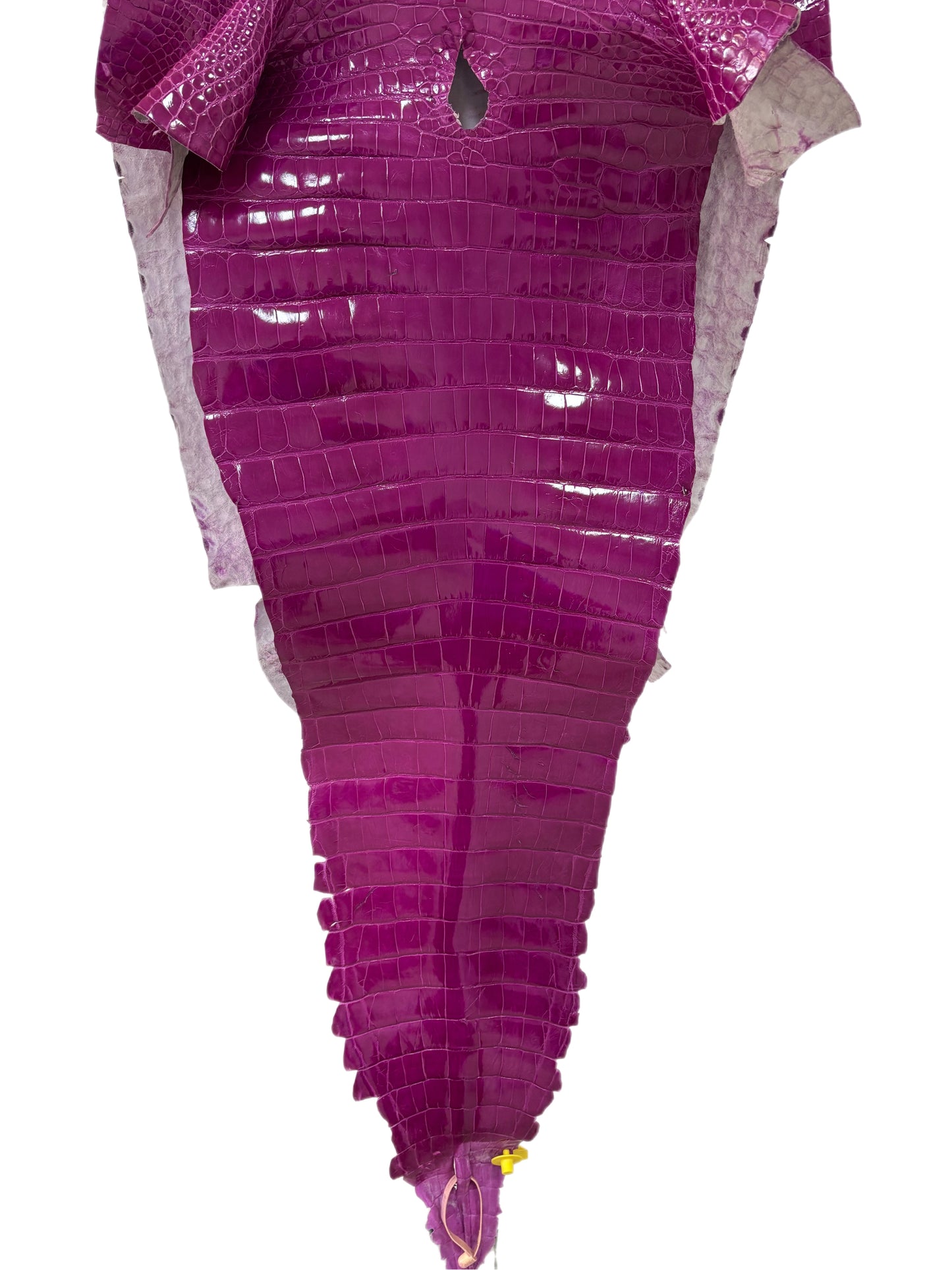 51 cm Grade 1/2 Magenta Glazed Farm-Raised American Alligator Leather - Tag: GA13-0024526