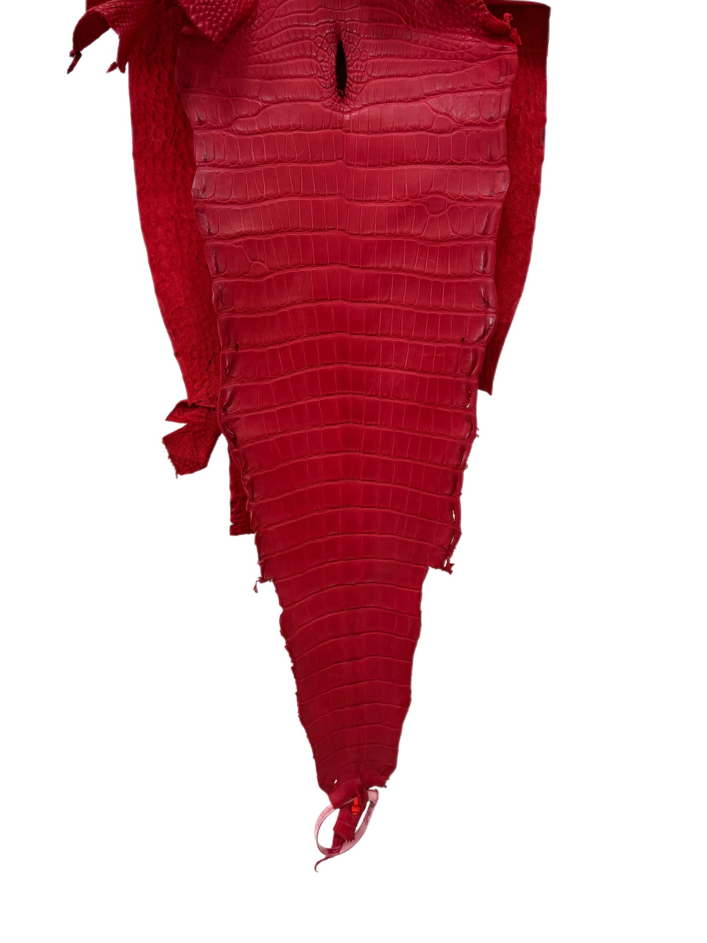 31 cm Grade 2/3 Candy Apple Red Matte Farm-Raised American Alligator Leather - Tag: LA23-0531859