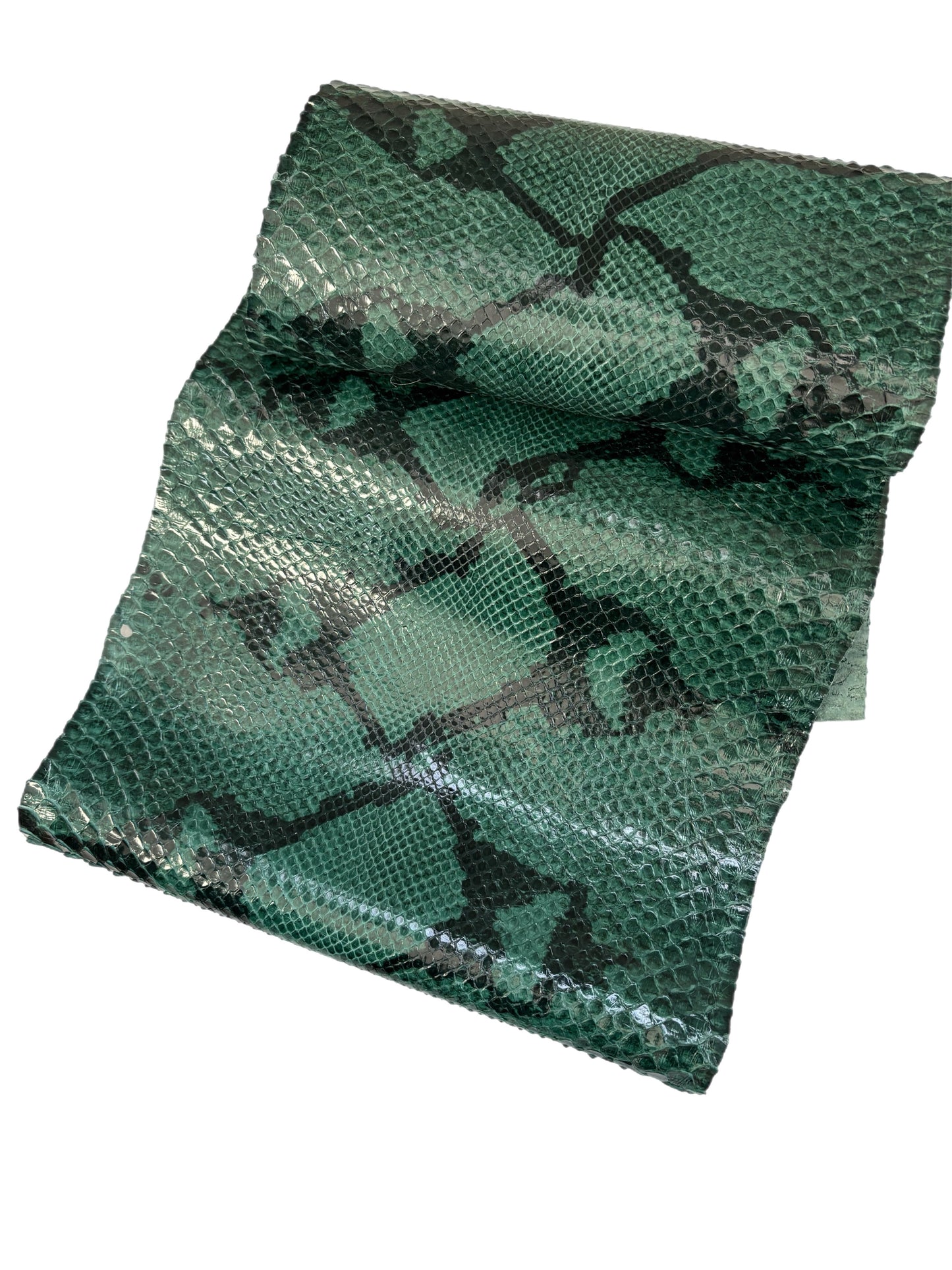 1.7 M Front Cut Forest Green Glazed Python with Markings