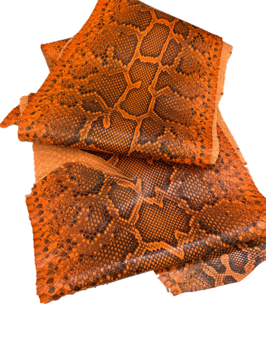 2 M Front Cut Orange Matte Python with Markings