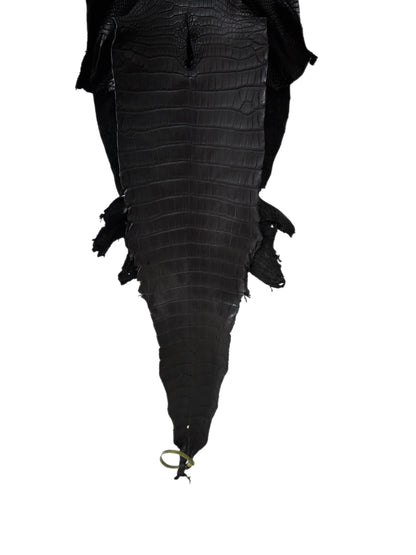 34 cm Grade 2/3 Black Matte Farm-Raised American Alligator Leather - Tag: LA25-0316170