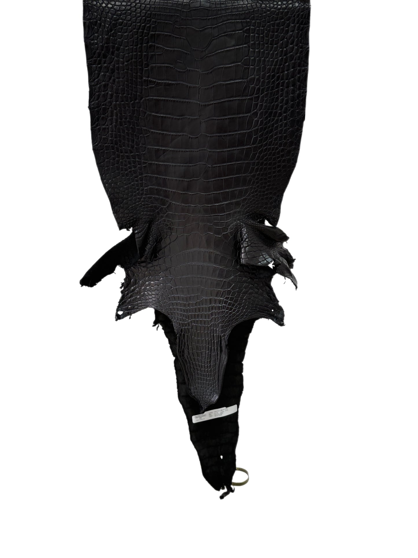 34 cm Grade 2/3 Black Matte Farm-Raised American Alligator Leather - Tag: LA25-0316170